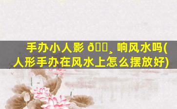 手办小人影 🌸 响风水吗(人形手办在风水上怎么摆放好)